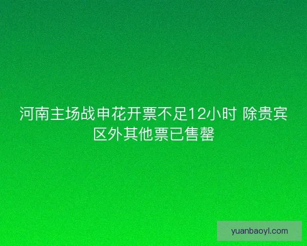 河南主场战申花开票不足12小时 除贵宾区外其他票已售罄 河南主场战申花开票不足12小时 除贵宾区外其他票已售罄