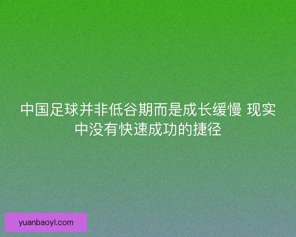中国足球并非低谷期而是成长缓慢 现实中没有快速成功的捷径