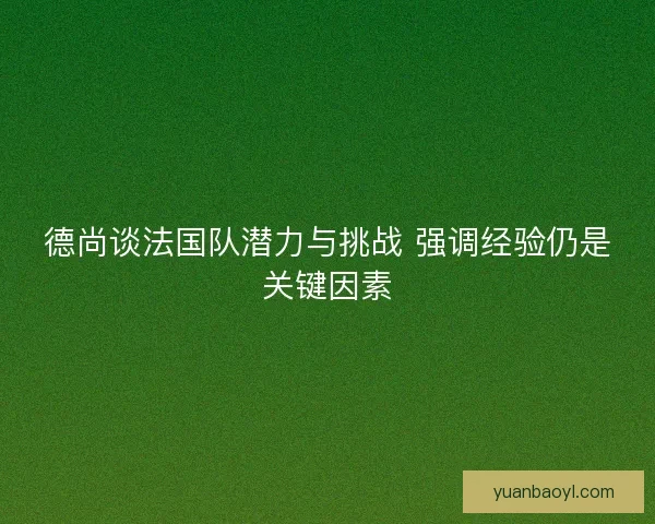 德尚谈法国队潜力与挑战 强调经验仍是关键因素