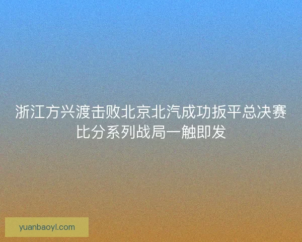 浙江方兴渡击败北京北汽成功扳平总决赛比分系列战局一触即发