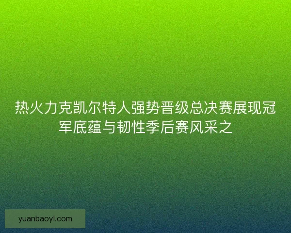 热火力克凯尔特人强势晋级总决赛展现冠军底蕴与韧性季后赛风采之