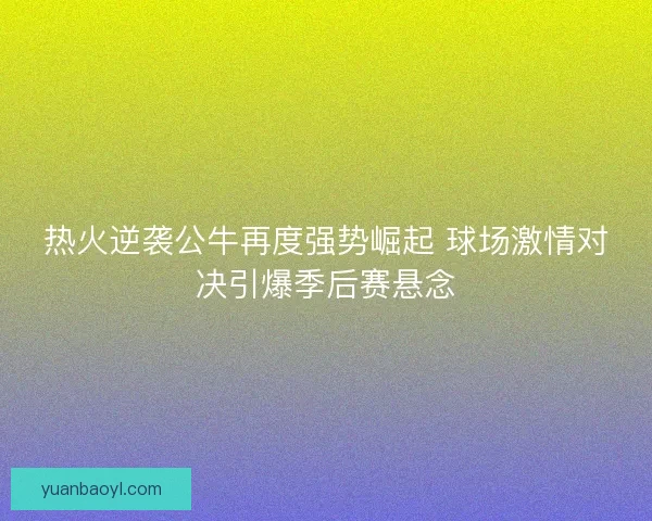 热火逆袭公牛再度强势崛起 球场激情对决引爆季后赛悬念